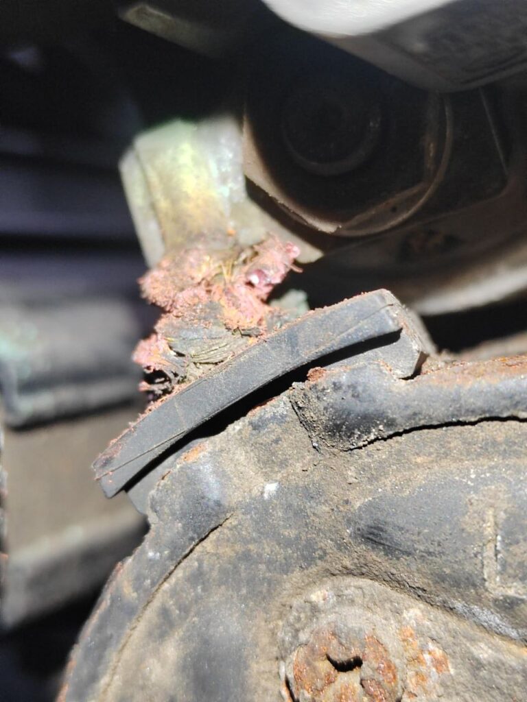 photo_2025-11-20_17-27-22