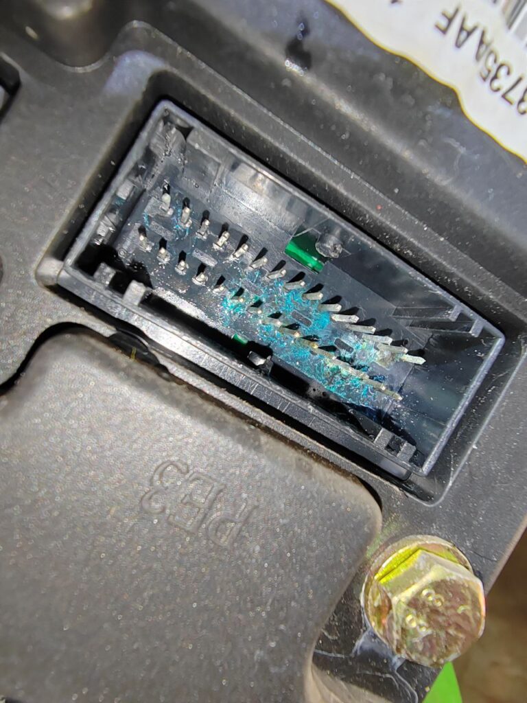 photo_2025-11-20_17-27-37