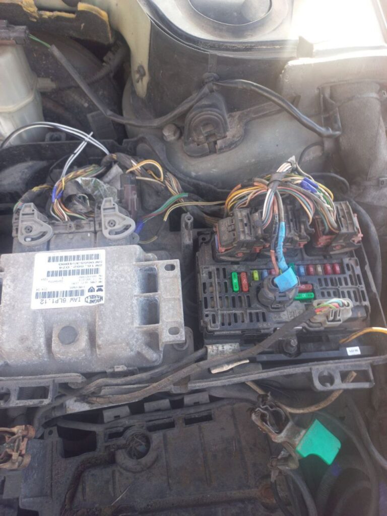 photo_2025-11-20_17-27-46