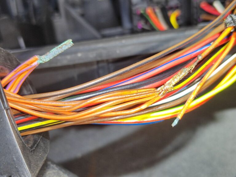 photo_2025-11-20_17-27-52