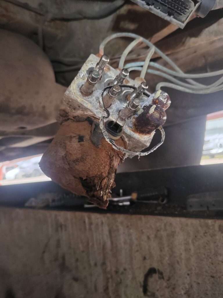 photo_2025-11-20_17-27-55