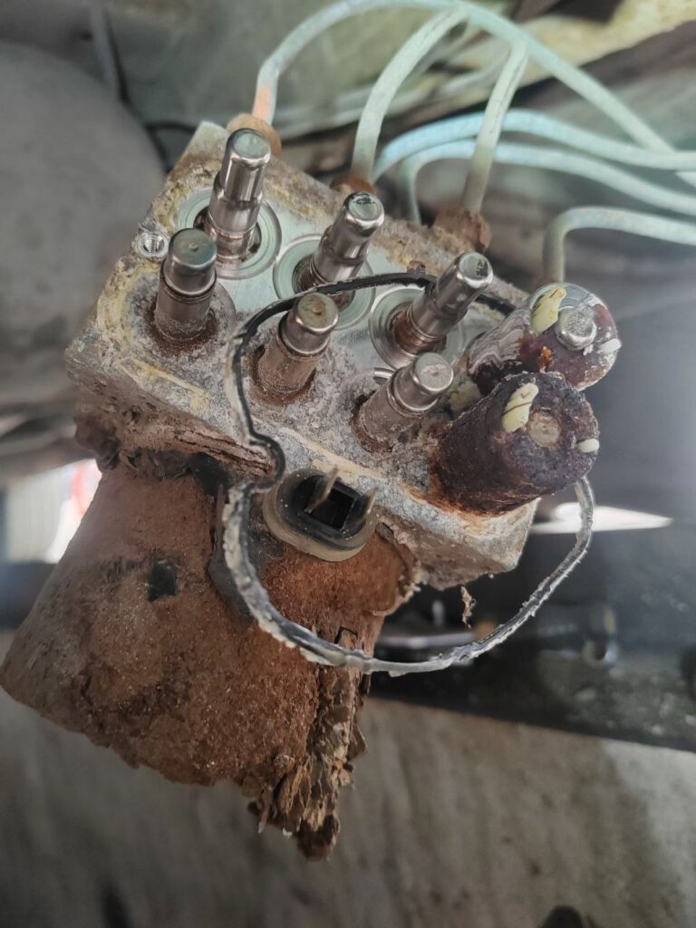 photo_2025-11-20_17-28-01