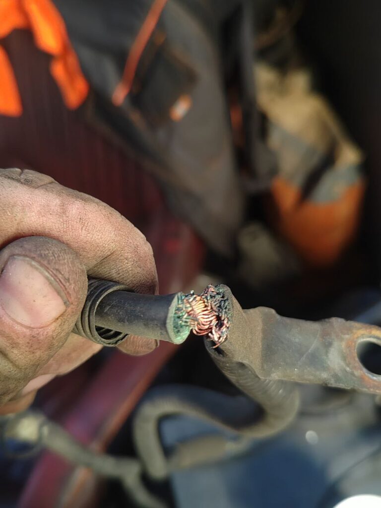 photo_2025-11-20_17-28-48