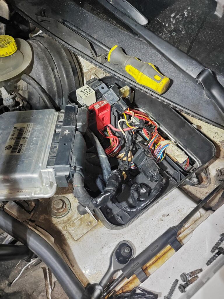 photo_2025-11-20_17-28-56