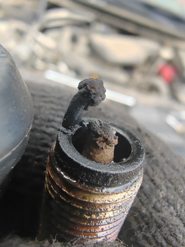 photo_2025-11-20_17-29-14