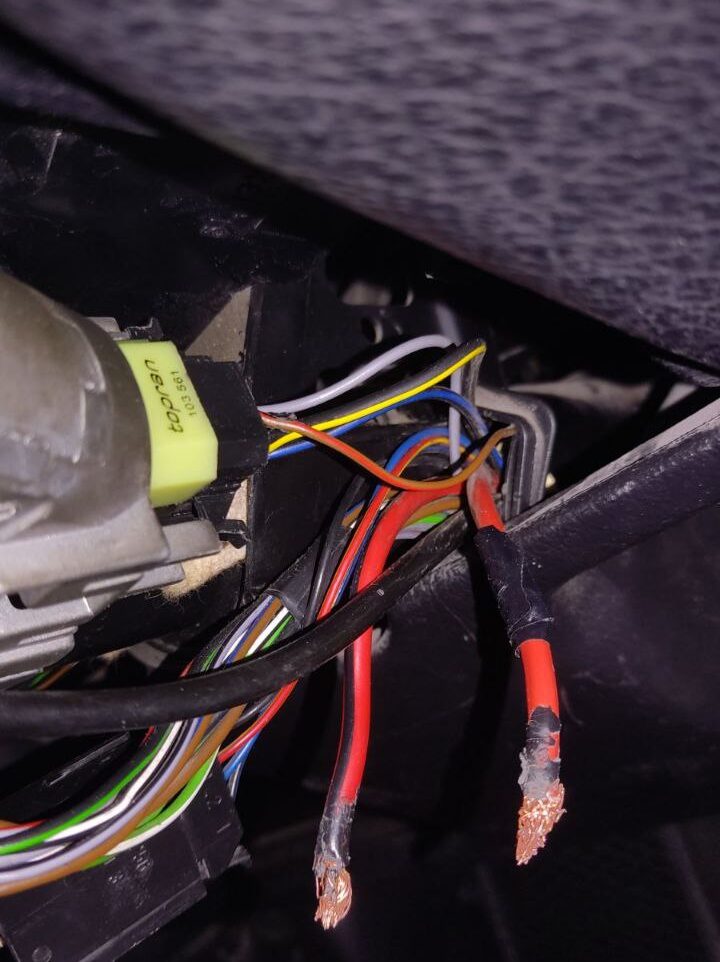 photo_2025-11-20_17-29-47