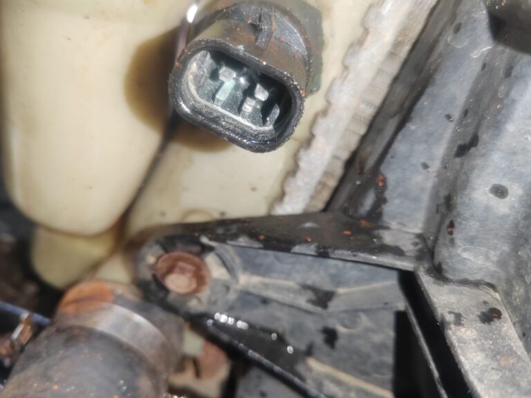 photo_2025-11-20_17-29-54