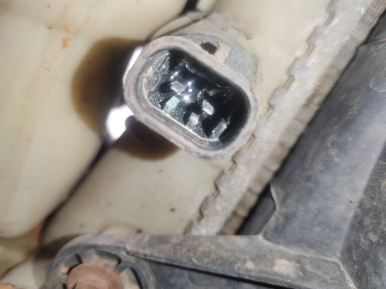 photo_2025-11-20_17-29-56