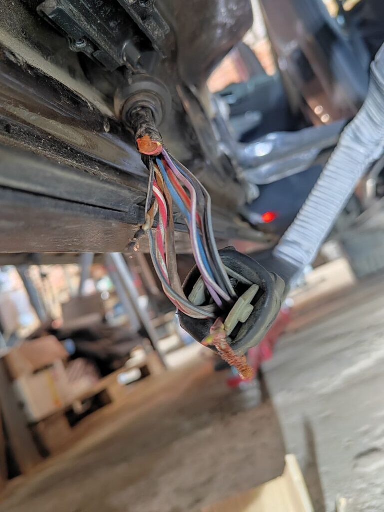 photo_2025-11-20_17-30-00